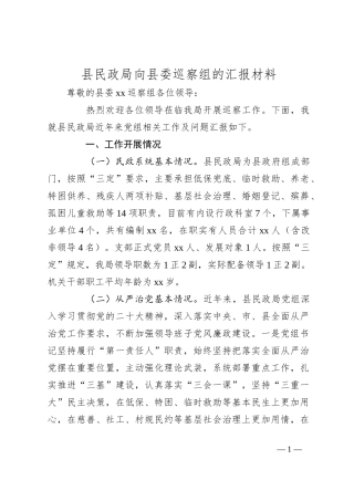 县民政局向县委巡察组的汇报材料