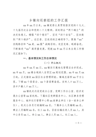 乡镇向巡察组的工作汇报