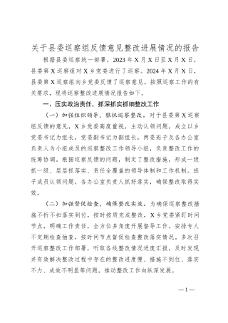 关于县委巡察组反馈意见整改进展情况的报告