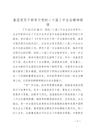 基层党员干部学习党的二 十届三 中全会精神感悟