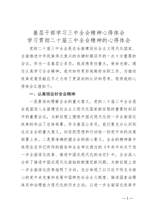 基层干部学习三 中全会精神心得体会