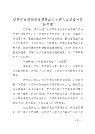 坚持党建引领促发展推动企业迈入高质量发展“快车道”