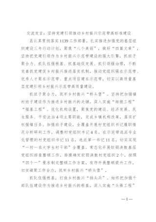 交流发言：坚持党建引领 推动乡村振兴示范带高标准建设
