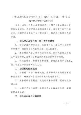 （市县级选派驻村人员）学习二 十届三 中全会精神后的行动计划