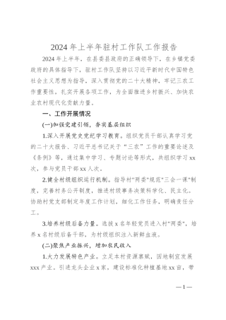 2024年上半年驻村工作队工作报告