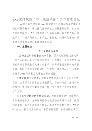 xxx党建赋能“书记领航项目”工作推进情况
