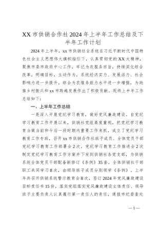 XX市供销合作社2024年上半年工作总结及下半年工作计划