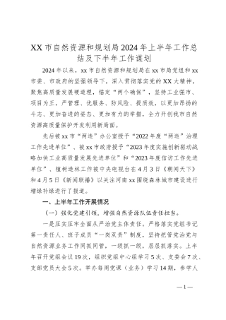 XX市自然资源和规划局2024年上半年工作总结及下半年工作谋划