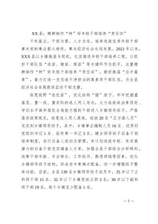 XX县：精耕细作“种”好年轻干部培养“责任田”