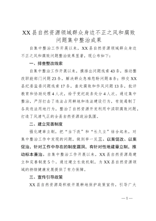 XX县自然资源领域群众身边不正之风和腐败问题集中整治成果