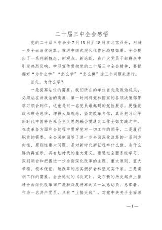 二十届三中全会感悟