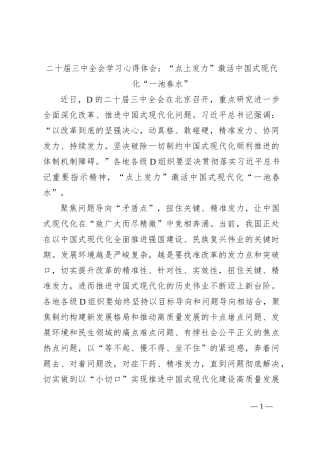 二十届三中全会学习心得体会：“点上发力”激活中国式现代化“一池春水”