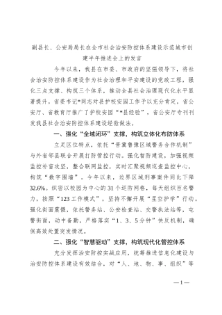 副县长、公安局局长在全市社会治安防控体系建设示范城市创建半年推进会上的发言