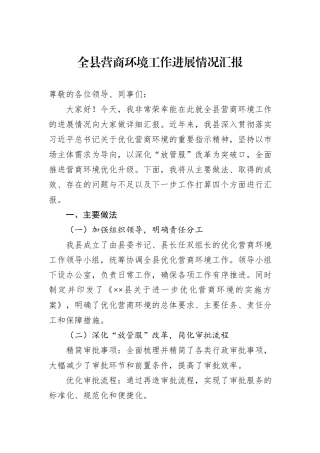 全县营商环境工作进展情况汇报