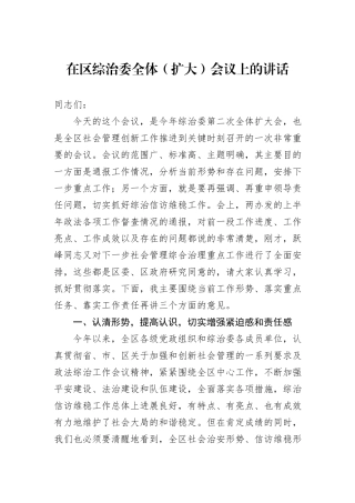 在区综治委全体（扩大）会议上的讲话