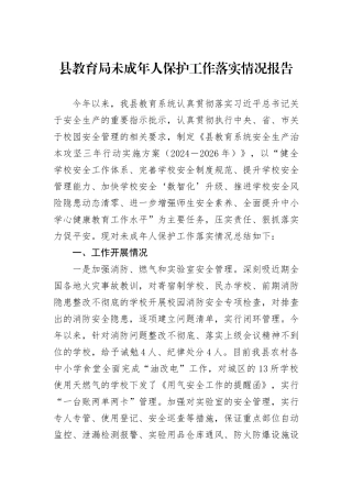 县教育局未成年人保护工作落实情况报告