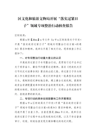 区文化和旅游文物局开展“落实过紧日子”领域专项整治行动核查报告