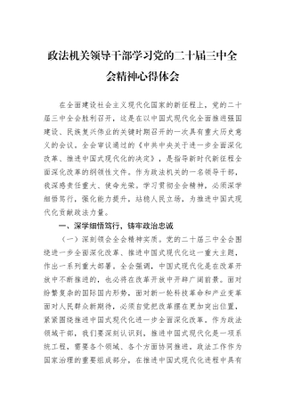 政法机关领导干部学习党的二十届三中全会精神心得体会