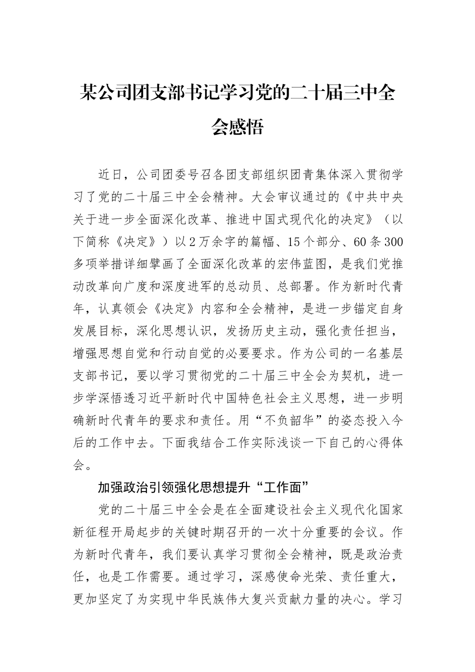 某公司团支部书记学习党的二十届三中全会感悟_第1页