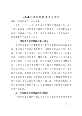 2024年度巡视整改表态发言