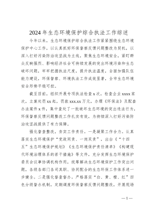 2024年生态环境保护综合执法工作综述