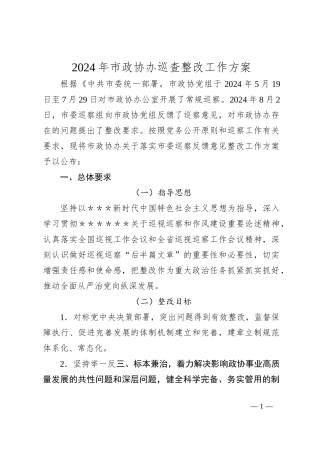 2024年市政协办巡查整改工作方案