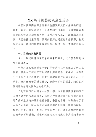 XX局巡视整改民主生活会