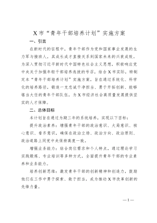 X市“青年干部培养计划”实施方案
