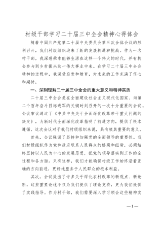 村级干部学习二十届三中全会精神心得体会