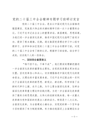 党的二十届三中全会精神专题学习班研讨发言