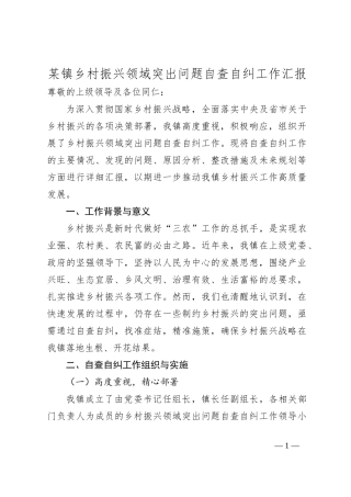 某镇乡村振兴领域突出问题自查自纠工作汇报