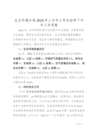 生态环境分局2024年上半年工作总结和下半年工作思路