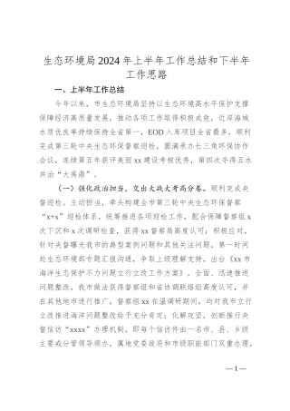 生态环境局2024年上半年工作总结和下半年工作思路