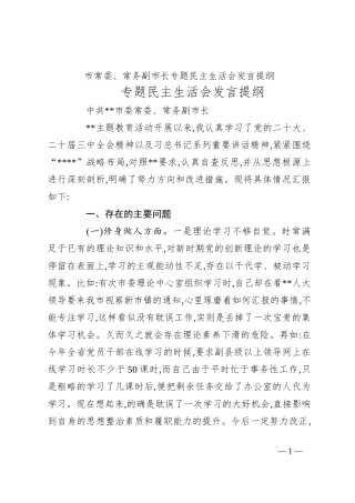 市常委、常务副市长专题民主生活会发言提纲