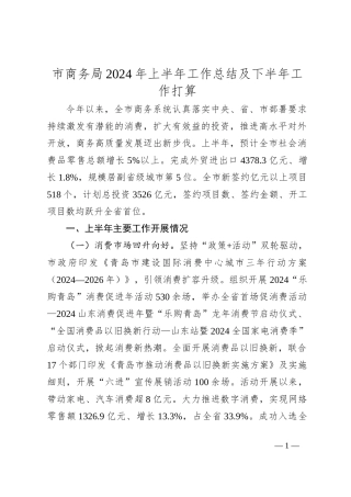 市商务局2024年上半年工作总结及下半年工作打算