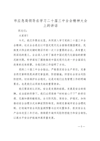 市应急局领导在学习二十届三中全会精神大会上的讲话