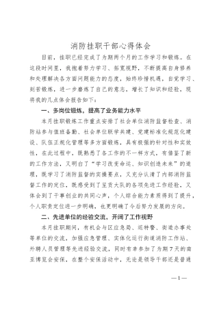 消防挂职干部心得体会