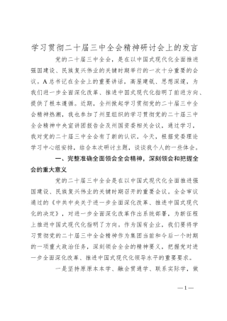 学习贯彻二十届三中全会精神研讨会上的发言