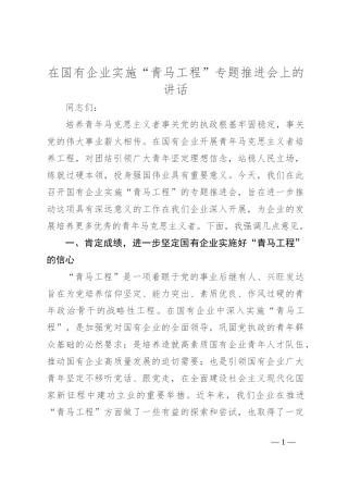 在国有企业实施“青马工程”专题推进会上的讲话