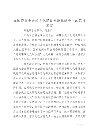 在国资国企合规文化建设专题推进会上的汇报发言