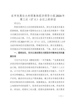 在市发展壮大村级集体经济领导小组2024年第三次（扩大）会议上的讲话