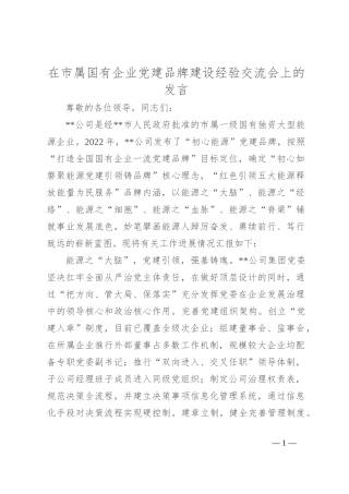 在市属国有企业党建品牌建设经验交流会上的发言