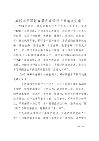 真抓实干写好X县农商银行“五篇大文章”