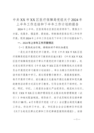 中共XX市XX区医疗保障局党组关于2024年上半年工作总结和下半年工作计划的报告