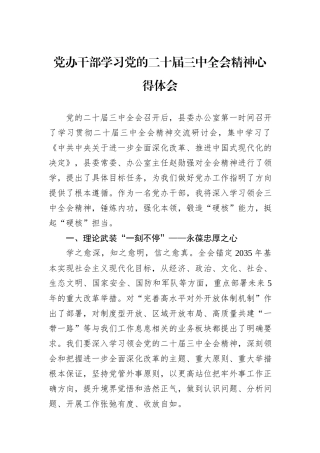 党办干部学习党的二十届三中全会精神心得体会