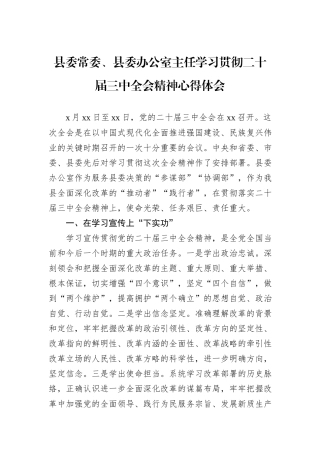 县委常委、县委办公室主任学习贯彻二十届三中全会精神心得体会