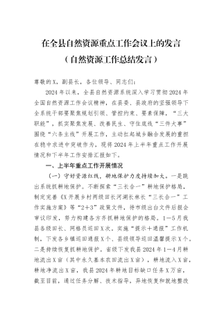 在全县自然资源重点工作会议上的发言（自然资源工作总结发言）