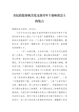 在纪检监察机关党支部青年干部座谈会上的发言
