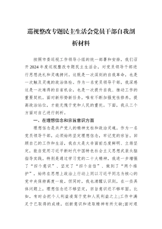 巡视整改专题民主生活会党员干部自我剖析材料
