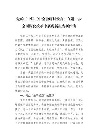 党的二十届三中全会研讨发言：在进一步全面深化改革中展现新担当新作为